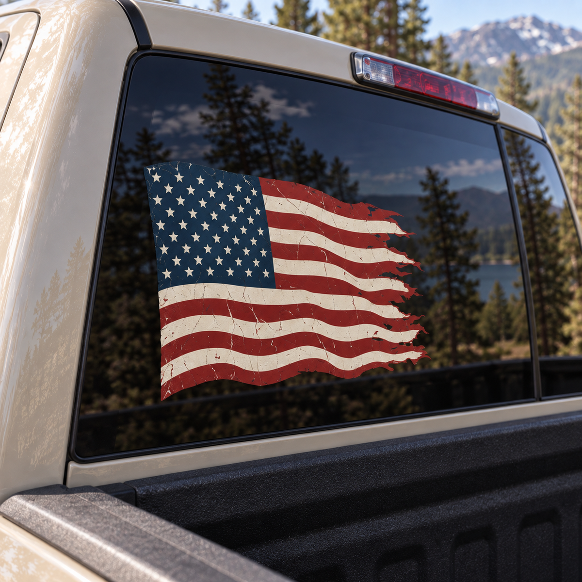 Tattered American Flag — close-up, left