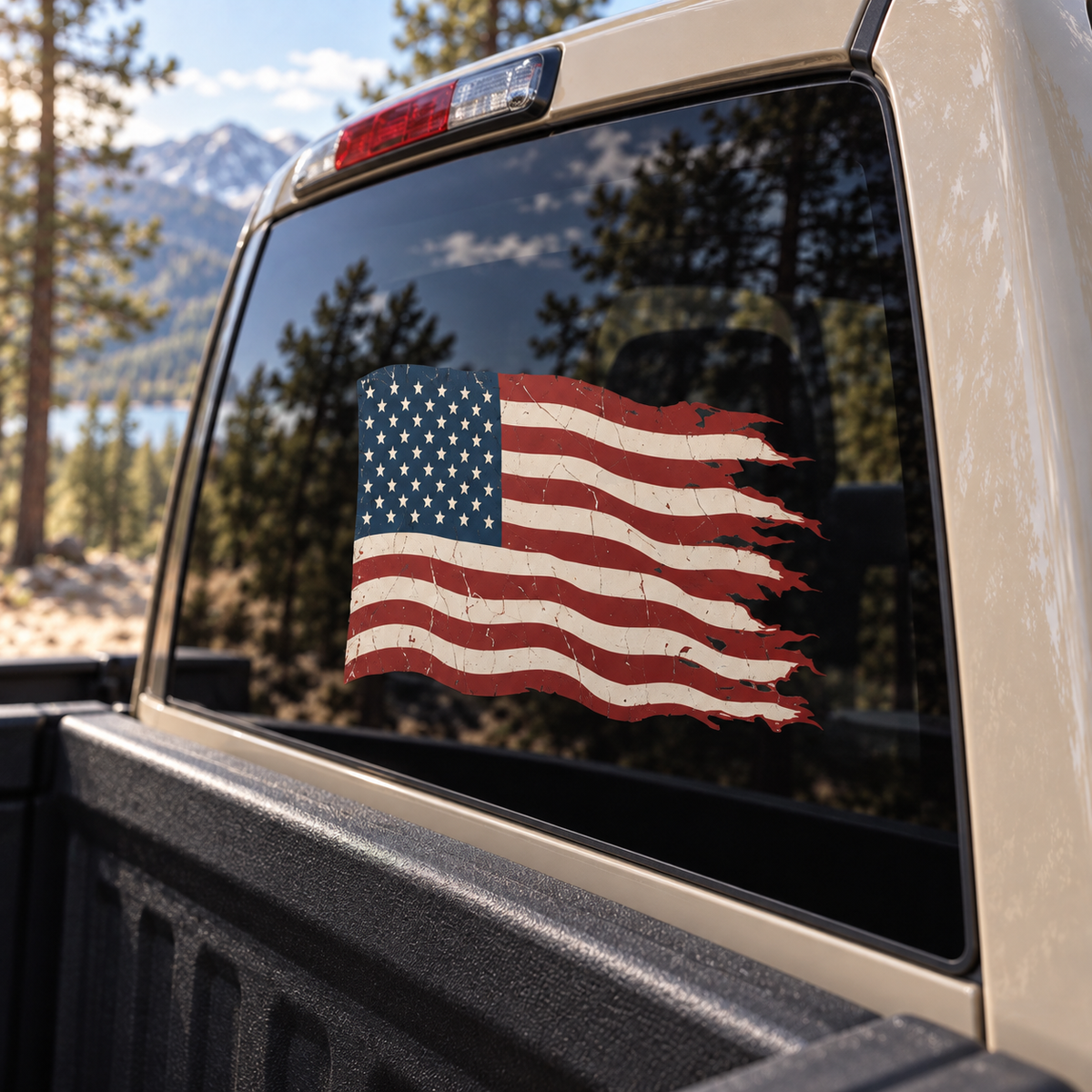 Tattered American Flag — close-up, right